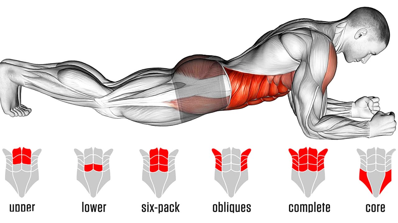 Plank exercise